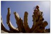 13/toubkal 174 (Small).jpg